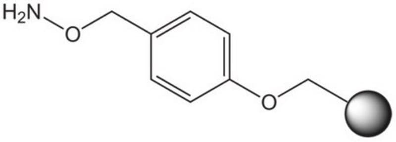 Merck HYDROXYLAMINE WANG RESIN 5 G