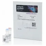 Thermo Fisher Scientific pHrodo Red AM Intracellular pH Indicator, 50 μL