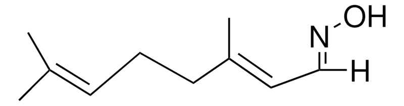 Merck CITRAL OXIME-1G