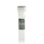 Thermo Fisher Scientific A549 (+hIGF-1) Control Lysate (1 mg/mL)