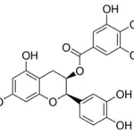Merck (-)-EPICATECHIN 3-GALLATE