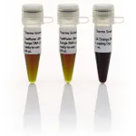 Thermo Fisher Scientific FastRuler Ultra Low Range DNA Ladder, ready-to-use