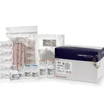 Thermo Fisher Scientific GeneJET RNA Cleanup and Concentration Micro Kit, 50 preps