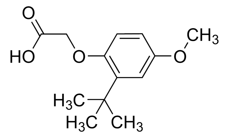 Merck (2-tert-Butyl-4-methoxyphenoxy)acetic acid
