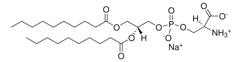 Merck 10:0 PS