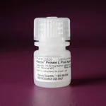 Thermo Fisher Scientific Pierce Protein L Plus Agarose