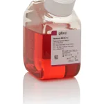 Thermo Fisher Scientific Advanced DMEM, 500 mL