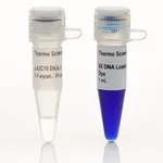 Thermo Fisher Scientific pUC19 DNA/MspI (HpaII) Marker, 50 ug