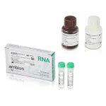 Thermo Fisher Scientific Path-ID Multiplex One-Step Kit, 100 reactions