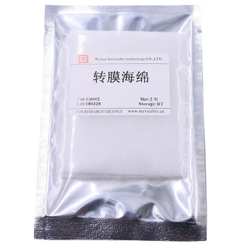 Servicebio Transfer Sponge