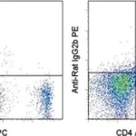 Thermo Fisher Scientific Mouse anti-Rat IgG2b Secondary Antibody, PE, eBioscience