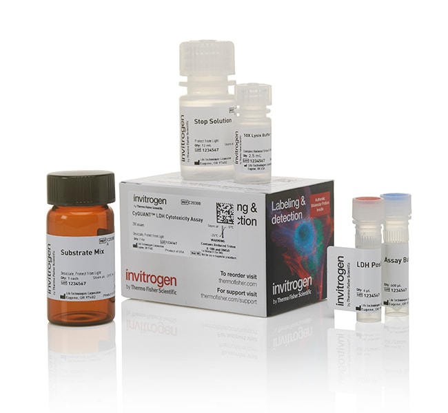 Thermo Fisher Scientific CyQUANT LDH Cytotoxicity Assay, 200 Assays