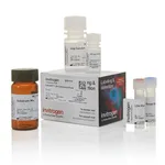 Thermo Fisher Scientific CyQUANT LDH Cytotoxicity Assay, 200 Assays