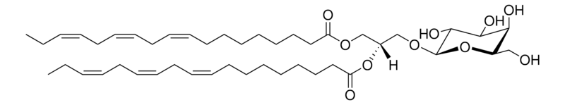 Merck MGDG