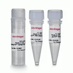 Thermo Fisher Scientific Jump-In GripTite HEK 293 Kit