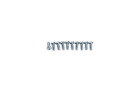 [피펫 부품] Screw for Midi+ 10 pcs