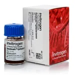 Thermo Fisher Scientific Dynabeads Epithelial Enrich, 5 mL