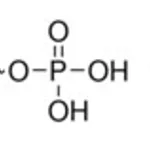Merck D-RIBOSE 1-PHOSPHATE CYCLOHEXYLAMINE