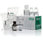 Thermo Fisher Scientific RNAqueous Total RNA Isolation Kit