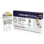 Thermo Fisher Scientific BseMII (BspCNI) (1 U/μL)