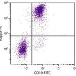 Thermo Fisher Scientific Rat anti-Mouse Kappa Light Chain Secondary Antibody, PE