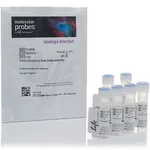 Thermo Fisher Scientific Flow Cytometry Size Calibration Kit (nonfluorescent microspheres)