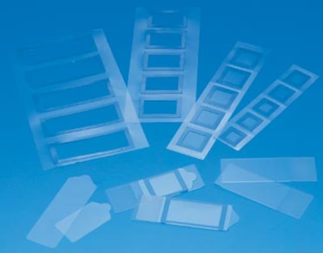 Thermo Fisher Scientific Gene Frame, 65 μL (1.5 x 1.6 cm)