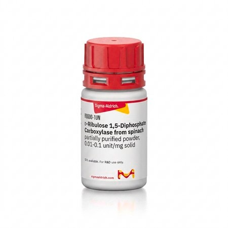 Merck D-Ribulose 1,5-Diphosphate Carboxylase from spinach