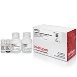 Thermo Fisher Scientific Dynabeads Protein G Immunoprecipitation Kit