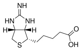 Merck 2 -IMINOBIOTIN