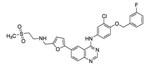 Merck LAPATINIB