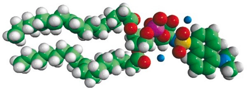 Merck 18:1 Dansyl PS