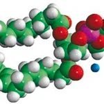 Merck 18:1 Dansyl PS