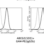 Thermo Fisher Scientific Goat anti-Mouse IgG2b Cross-Adsorbed Secondary Antibody, PE