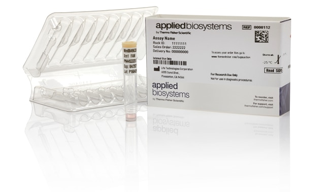 Thermo Fisher Scientific Custom Plus TaqMan RNA Assay, FAM, S (360 reactions), made to order