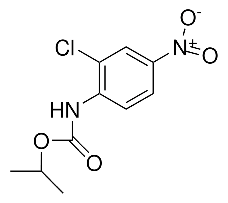 Merck ISOPROPYL N-(2-CHLORO-4-NITROPH-