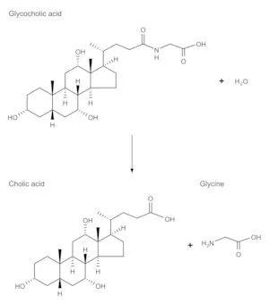Merck CHOLOYLGLYCINE HYDROLASE FROM&