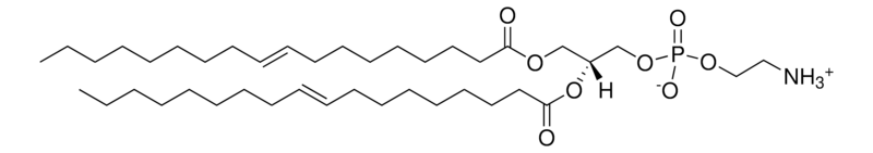 Merck 18:1 (Delta9-Trans) PE