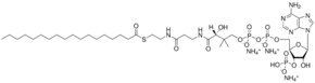 Merck 18:0 COENZYME A