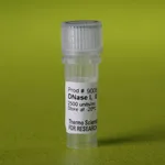Thermo Fisher Scientific DNase I Solution (2500 U/mL)