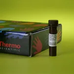 Thermo Fisher Scientific Halt Phosphatase Inhibitor Cocktail, 1 mL