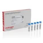 Thermo Fisher Scientific ViroCheck NanoParticle Reference Kit
