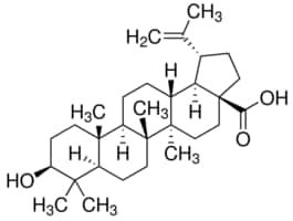 Merck BETULINIC ACID