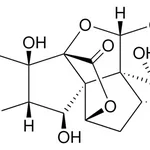 Merck GINKGOLIDE B FROM GINKGO BILOBA LEAVES&