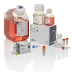 Thermo Fisher Scientific Expi293 GnTI- Expression System Kit