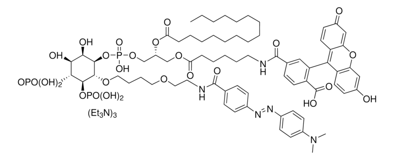 Merck XY-69