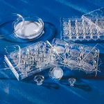 Merck Costar Transwell 75mm,0.4um,10um Thick,