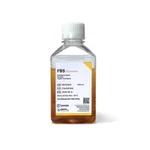 BANDIO FBS (Fetal Bovine Serum)