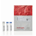Thermo Fisher Scientific LIVE/DEAD Fixable Orange (602) Viability Kit, for 561 nm excitation, 80 Assays