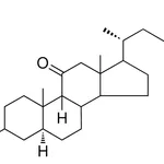 Merck 11-OXO-5-ALPHA,9-BETA-ERGOSTAN - 1 MG&